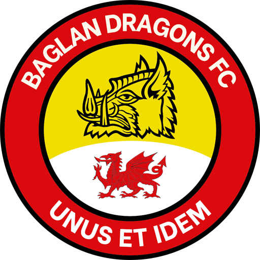 Team Badge icon