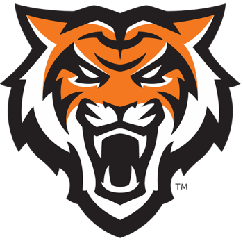 Team Badge