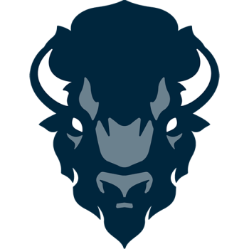 Team Badge