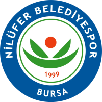 Former team badge icon
