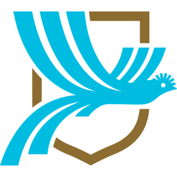 home team badge
