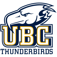 Former team badge icon
