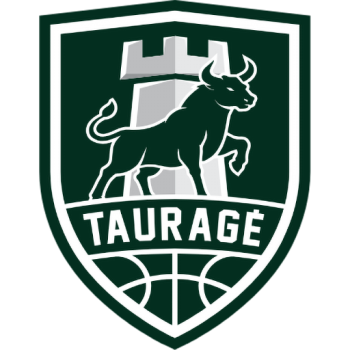 team badge