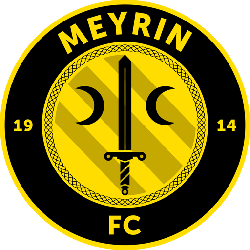 Team Badge icon