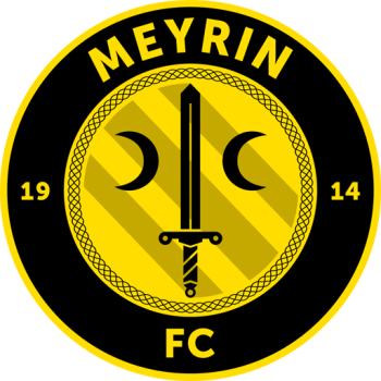team badge