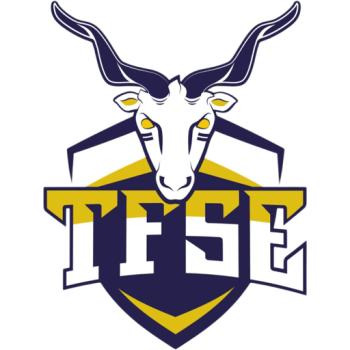 team badge