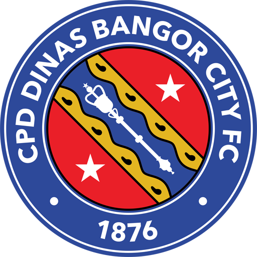 Team Badge icon