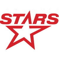 Team Badge icon