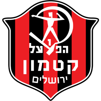 team badge