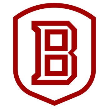 Team Badge