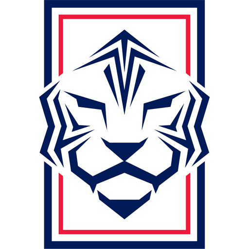 Team Badge icon