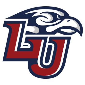 Team Badge