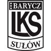 tiny home badge icon