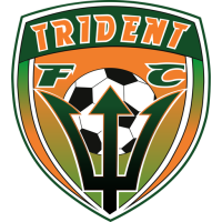 Team Badge