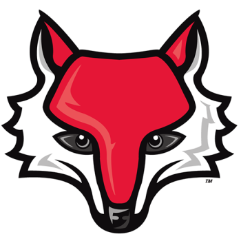 Team Badge