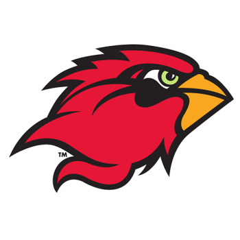 Team Badge
