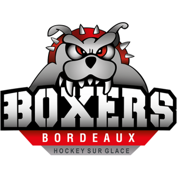 Team Badge