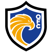 Team Badge