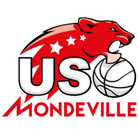 Former team badge icon
