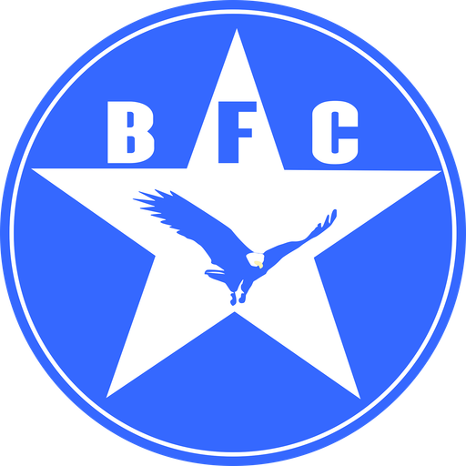 Team Badge icon