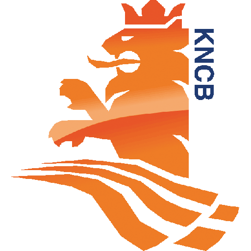 Team Badge icon
