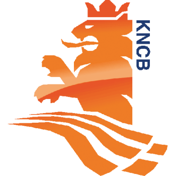 Team Badge