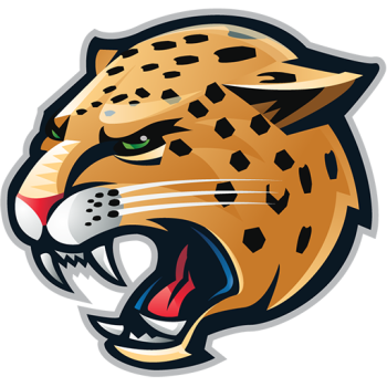 Team Badge