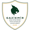 tiny home badge icon