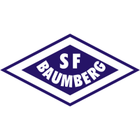 Team Badge