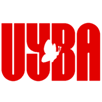 Former team badge icon