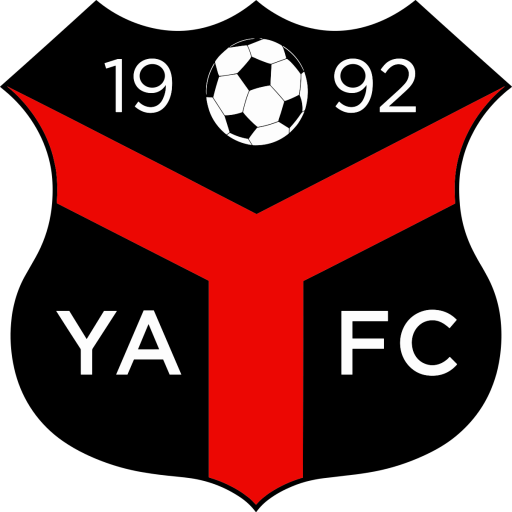 Ynyshir Albions 隊徽