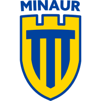 Team Badge