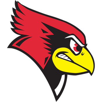Team Badge