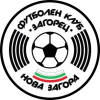 tiny home badge icon