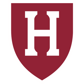 Team Badge