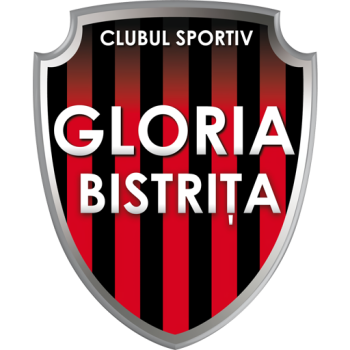 Team Badge