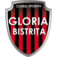 Team Badge