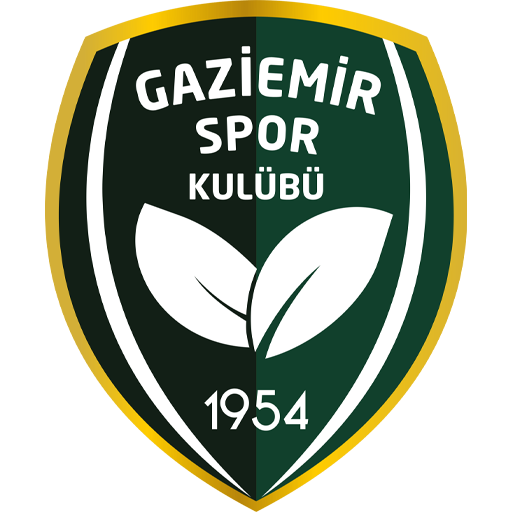Team Badge icon