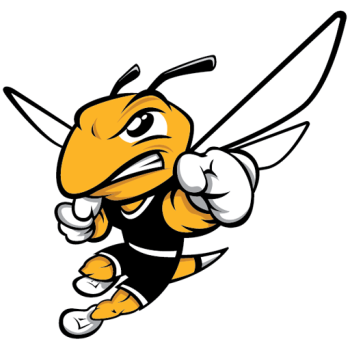 home team badge