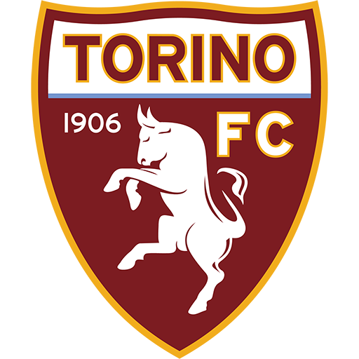 Torino Logo Image