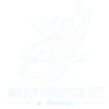 Team badge