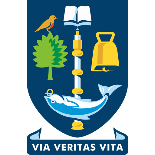 Team Badge icon