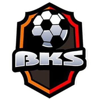 team badge