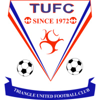 Team Badge icon