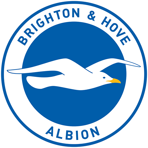 Brighton & Hove Albion Logo Image