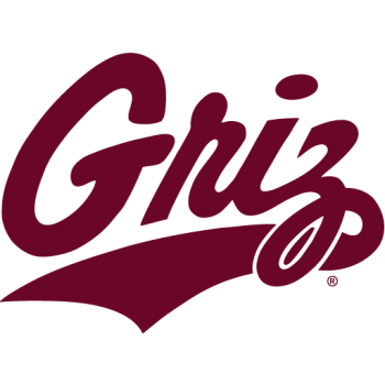 Team Badge