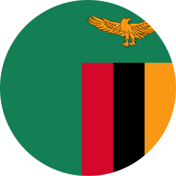 team badge
