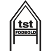 tiny home badge icon