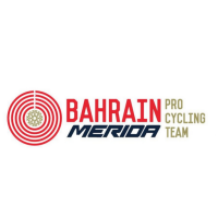 Team Badge