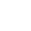 Former Badge